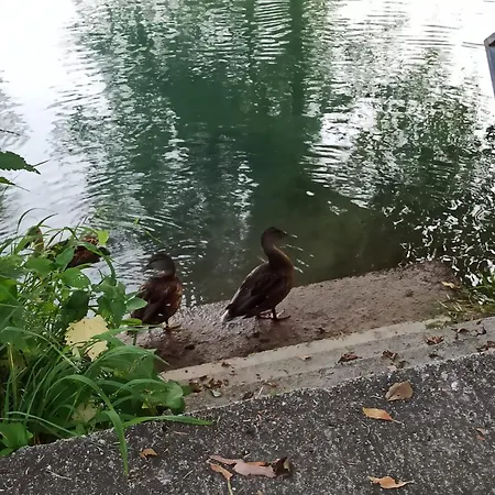 アパート Pliva Rentals-riverside Jezero (Republika Srpska)